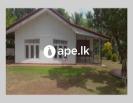 à¶±à·’à·€à·ƒ à·€à·’à¶šà·’à¶«à·“à¶¸à¶§ Jaela
